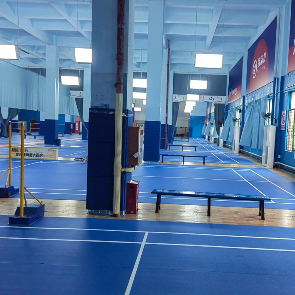 Beable Estera de cancha de bád - Badminton Logo reseña y precio