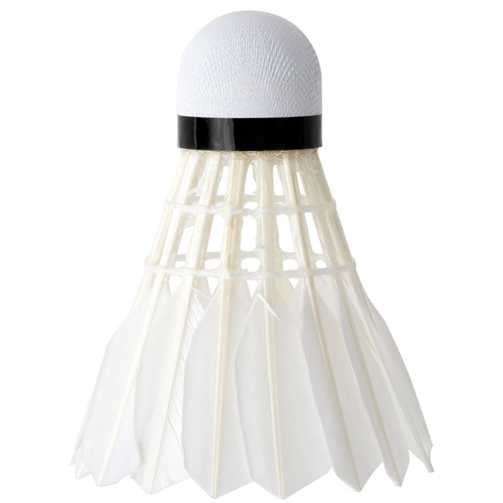 3/6/12 unidades de nuevas bola - Badminton Victor reseña y precio